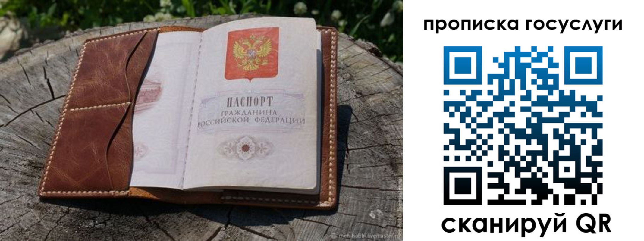 прописка для школы в Истре